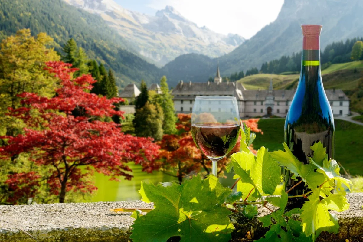 red wine with autumn mountain landscape